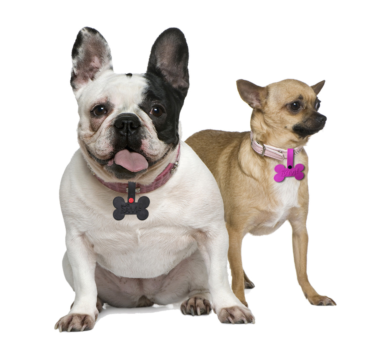 Pack anti-moustiques, puces et tiques pour animaux de compagnie
