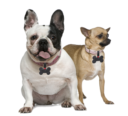 Mosquito, Flea & Tick Pet Tags